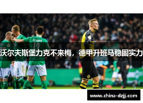 沃尔夫斯堡力克不来梅，德甲升班马稳固实力
