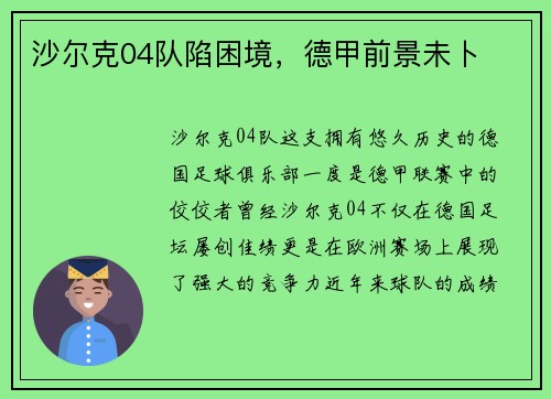沙尔克04队陷困境，德甲前景未卜