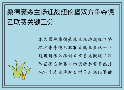 桑德豪森主场迎战纽伦堡双方争夺德乙联赛关键三分